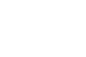 lolo pets logo