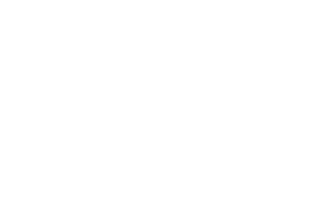 trixie logo